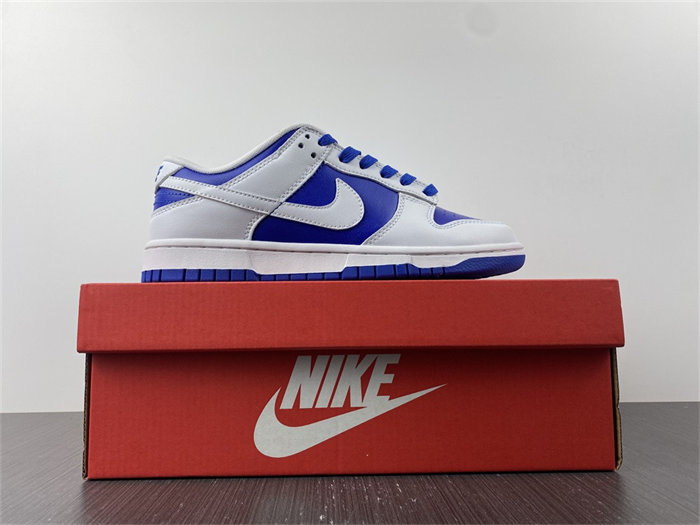 NK Dunk Low DD1391-401