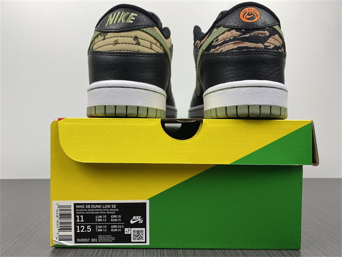 NK Dunk Low Crazy Camo DH0957-001