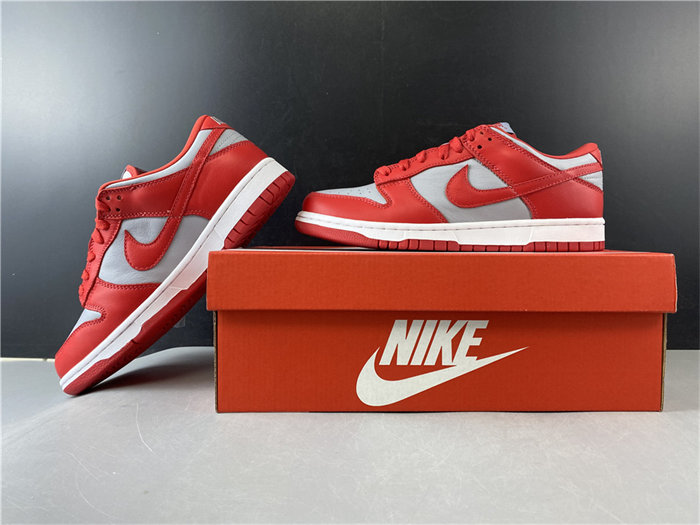NK Dunk Low SB CU1726-600