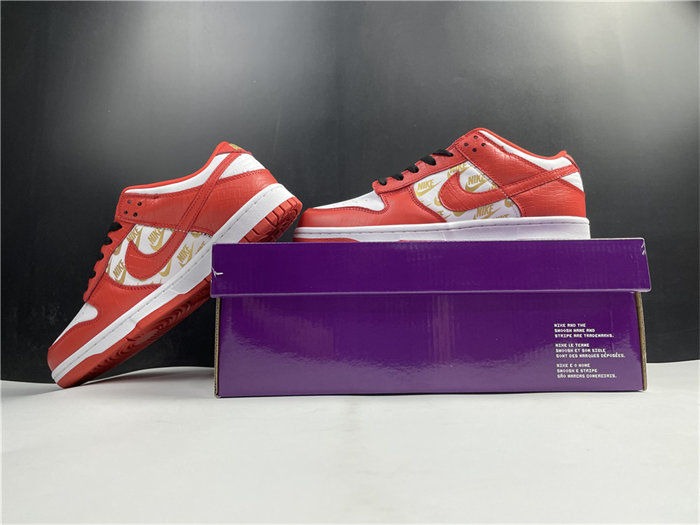 NK SB Dunk DH3228-161