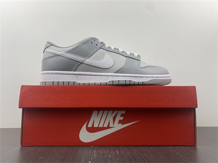 NK Dunk Low Two Tone Grey DJ6188-001