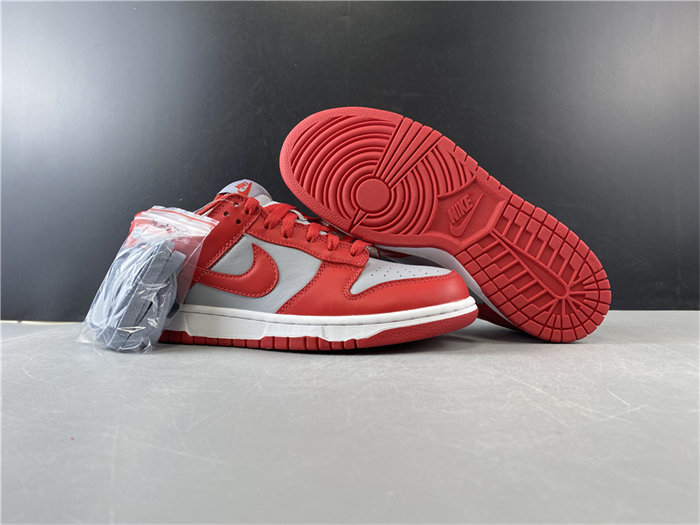NK Dunk Low SB CU1726-600