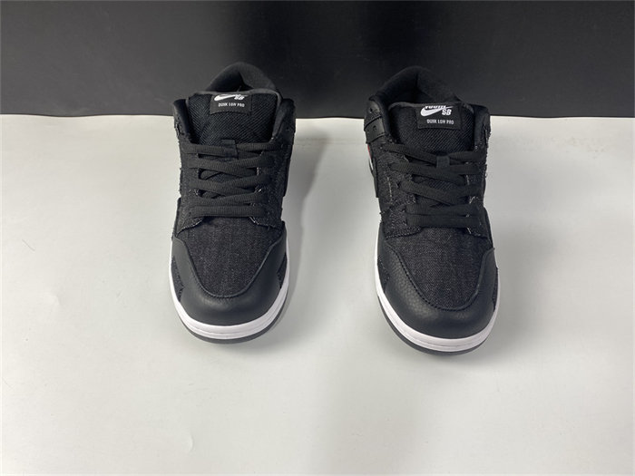 NK SB Dunk Low Wasted Youth DD8386-001