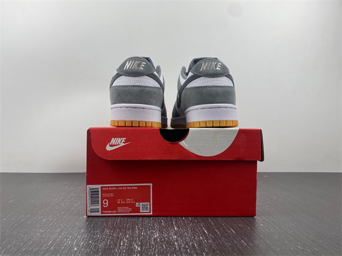 NK Dunk Low FV0389-100
