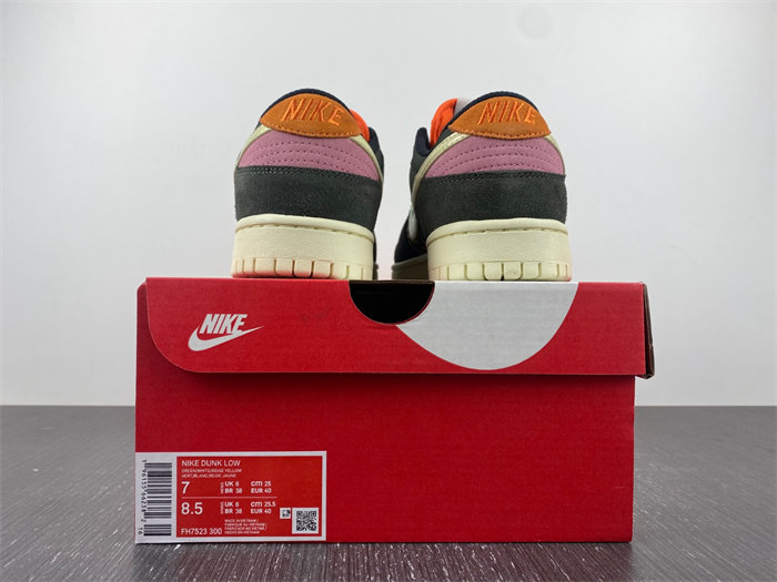 NK Dunk Low Rainbow Trout FH7523 300
