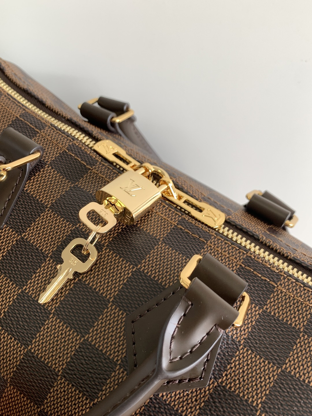 Louis Vuitton Speedy Bandoulière 25 Women Bags N40575