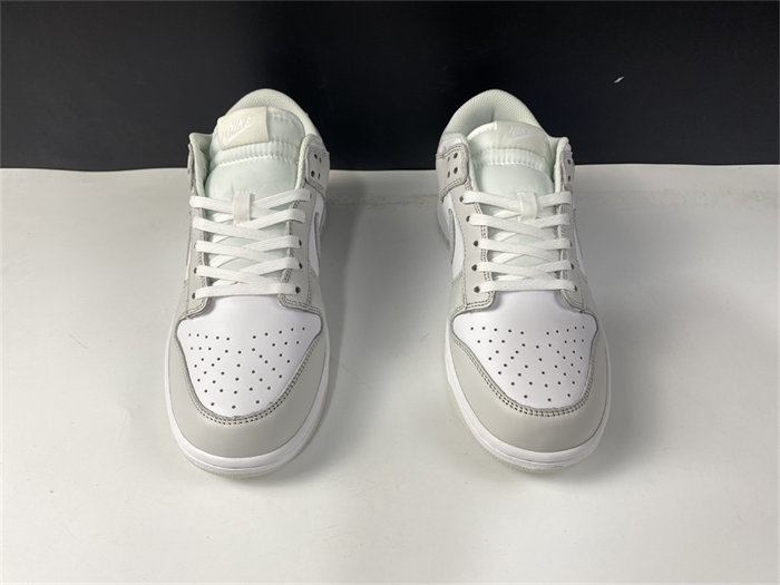 NK Dunk Low Photon Dust DD1503-103