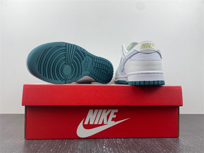 NK DUNK LOW 2023 FD9911-101