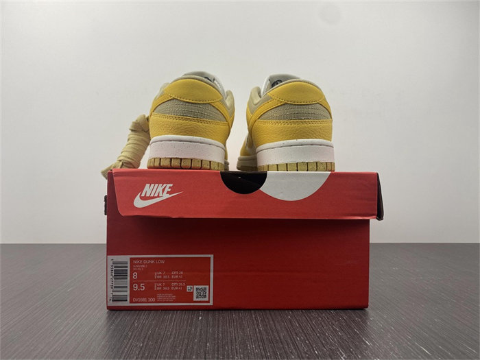 NK Dunk Low Retro Sun Club Wheat Grass Orange DV1681-100