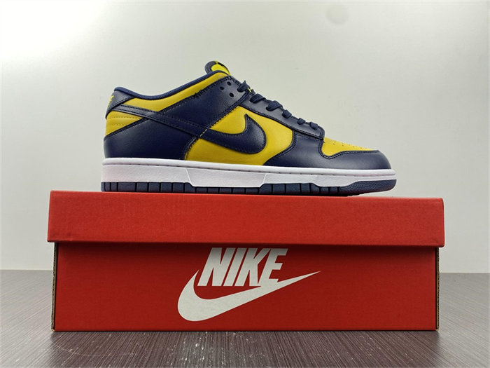 NK Dunk Low Michigan DD1391-700