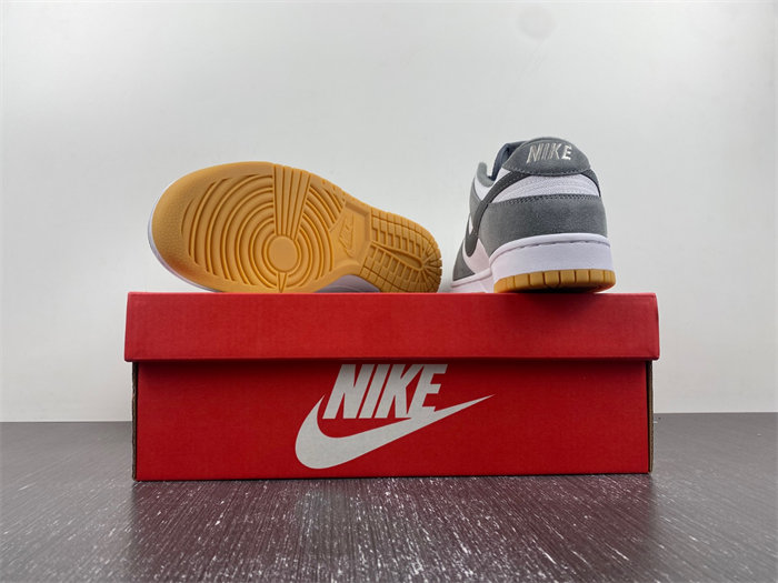 NK Dunk Low FV0389-100