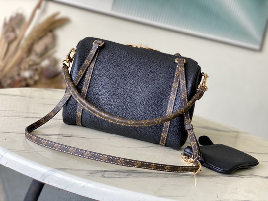 LV Shoulder bag/handbag