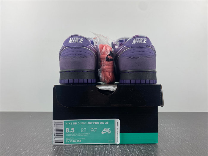 NK SB Dunk Low Concepts Purple Lobster BV1310-555