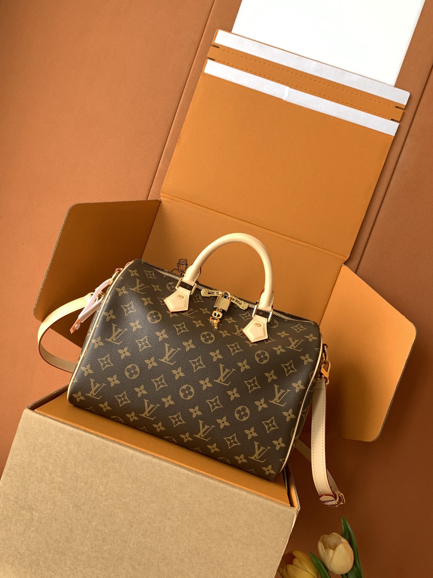 Louis Vuitton Speedy Bandoulière 30 Women Bag M46980