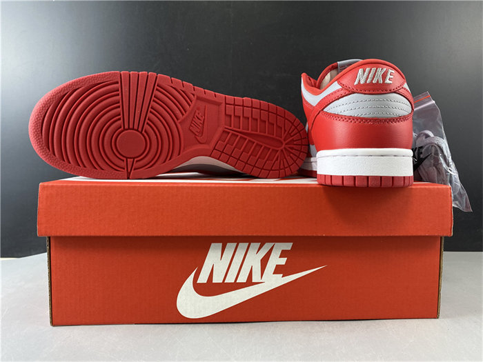 NK Dunk Low SB CU1726-600