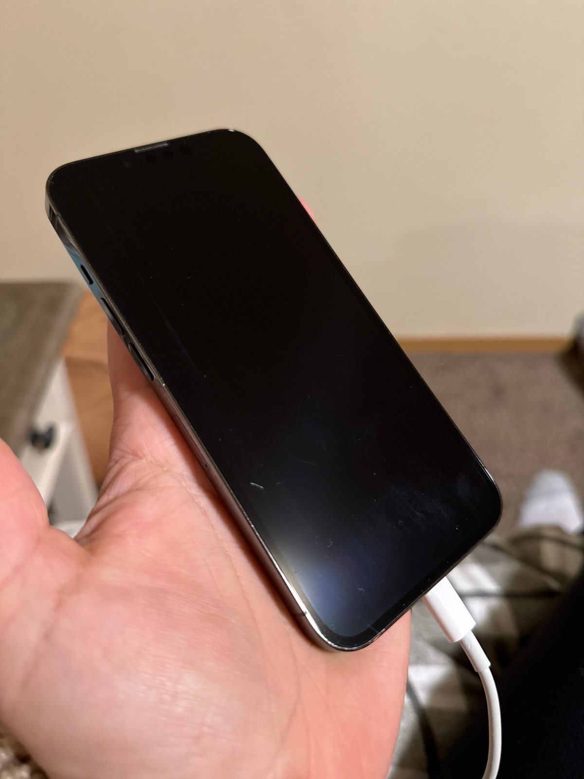 iPhone 13 Pro 7V13