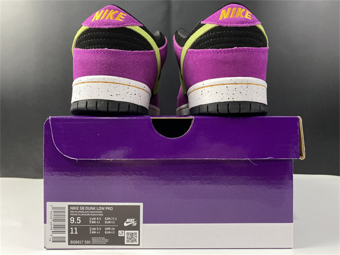 NK SB Dunk Low Pro ACG Terra Red Plum BQ6817-501