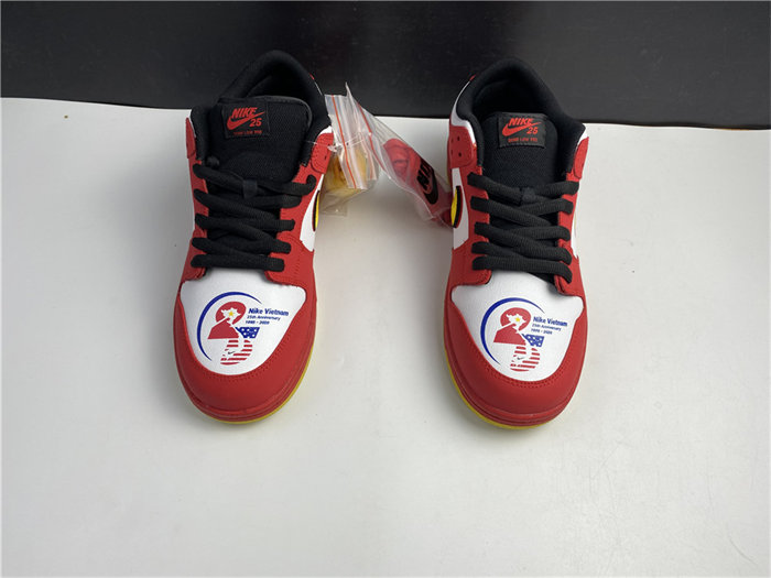 NK SB Dunk Low  309242-307