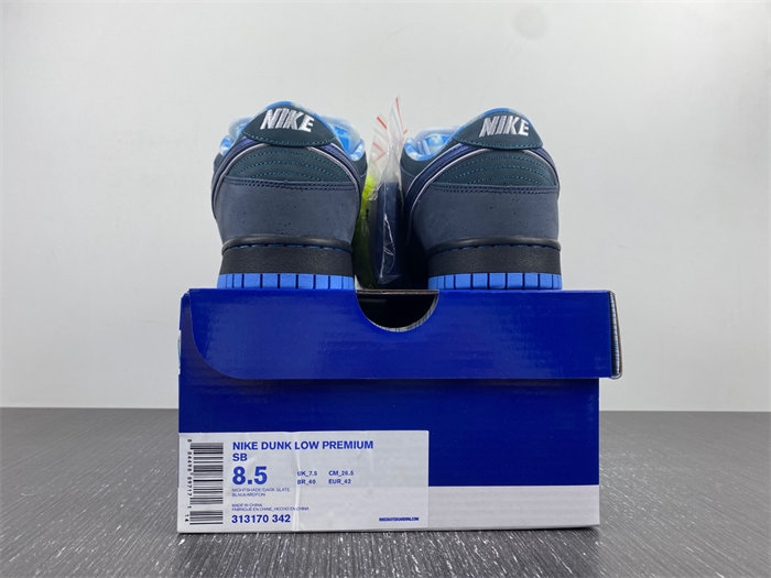 NK SB Dunk Low Concepts Blue Lobster 313170-342