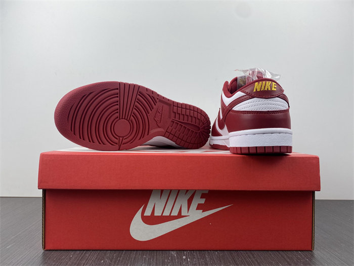 NK Dunk Low USC DD1391-602