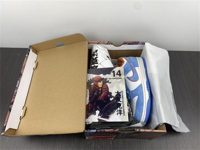 NK SB Dunk LF0039-009