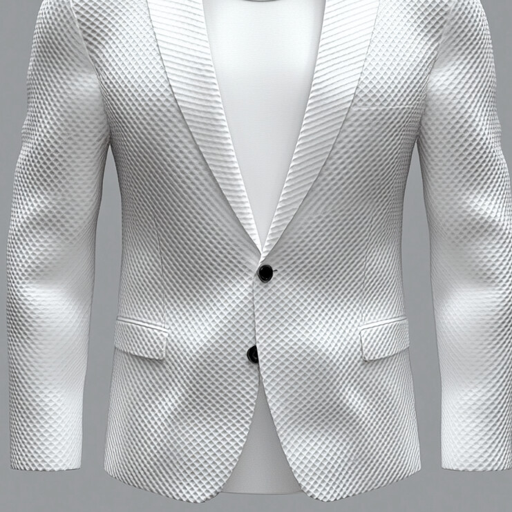 Men's Long Sleeve Two Button Notched Lapel Textured Blazer