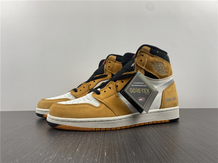 JRD1 Element Gore-Tex Light Curry DB2889-700