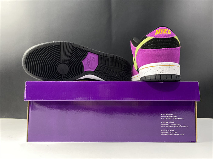 NK SB Dunk Low Pro ACG Terra Red Plum BQ6817-501