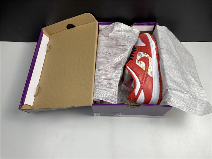 NK SB Dunk DH3228-161