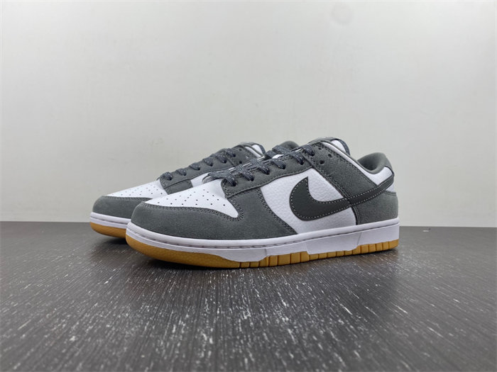 NK Dunk Low FV0389-100