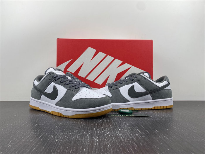 NK Dunk Low FV0389-100