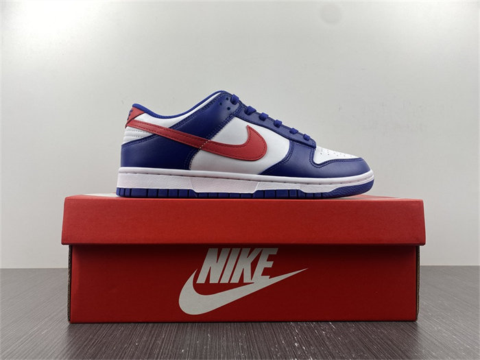 NK Dunk Low USA DD1503-119