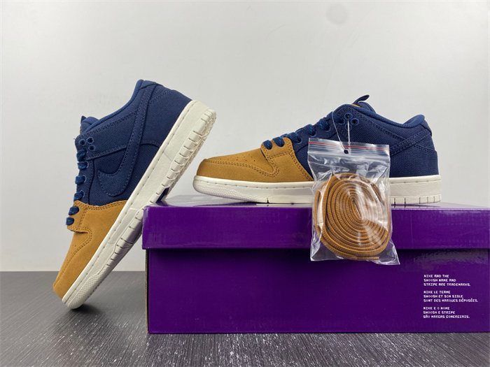 NK SB Dunk Low Pro PRM 90s Backpack DX6775-400