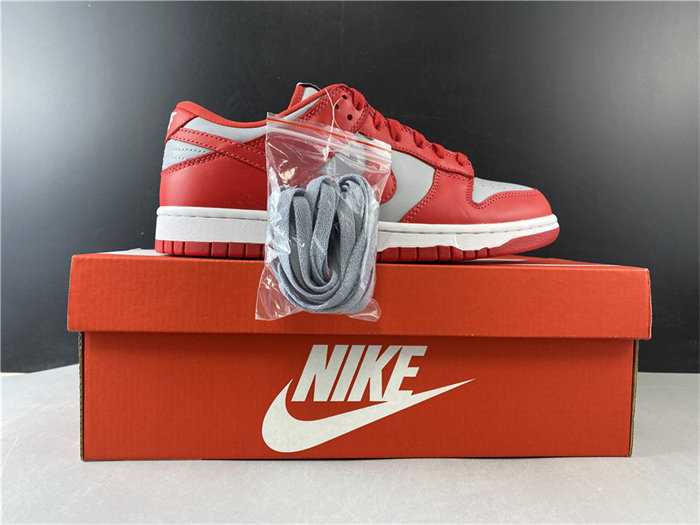 NK Dunk Low SB CU1726-600