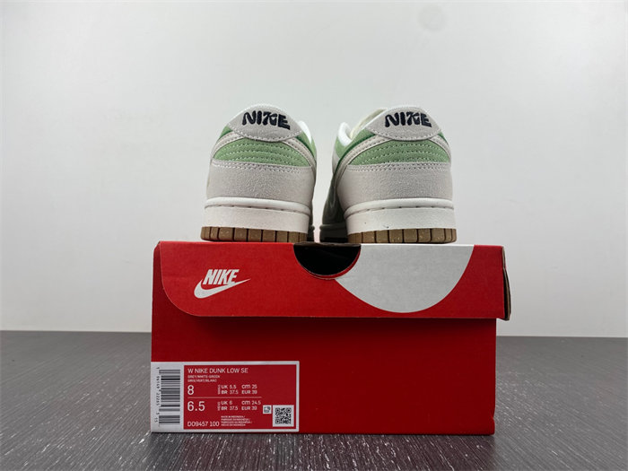 NK Dunk Low SWOOSH D09457-100