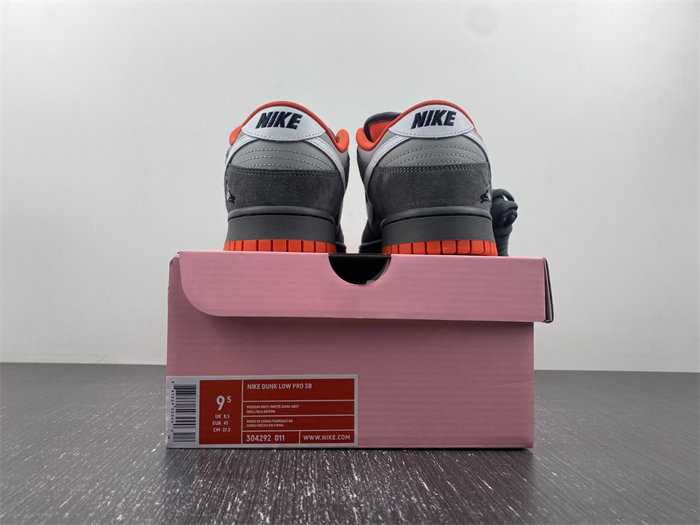 NK SB Dunk Low 304292-011