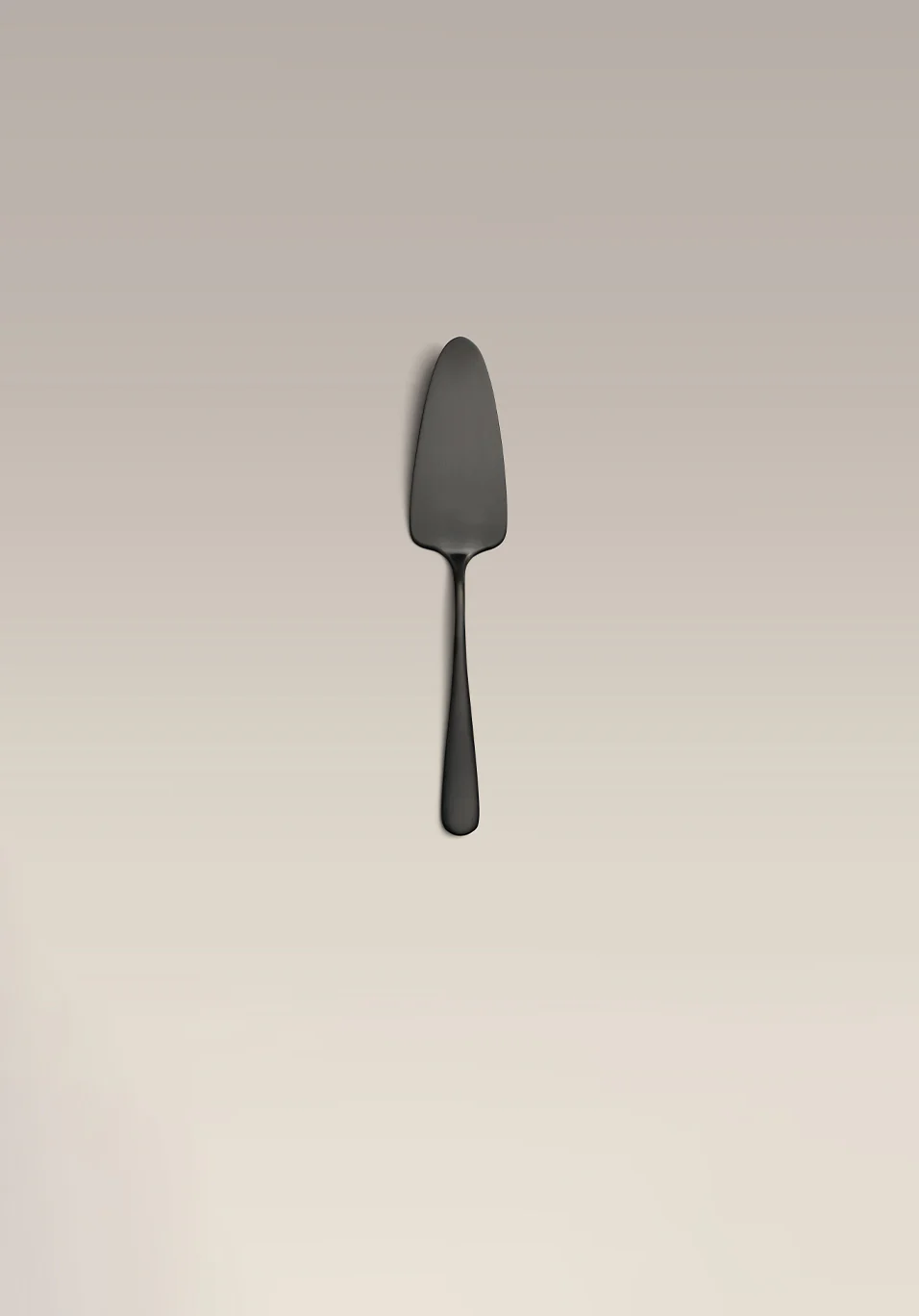 Cake Server