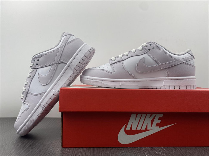 NK Dunk Low Venice DD1503-116