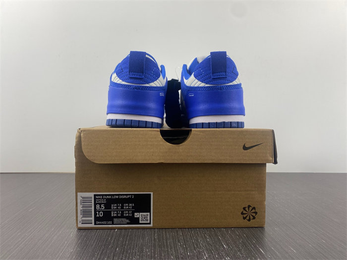 NK Dunk Low Disrupt 2 White University Blue DH4402-102