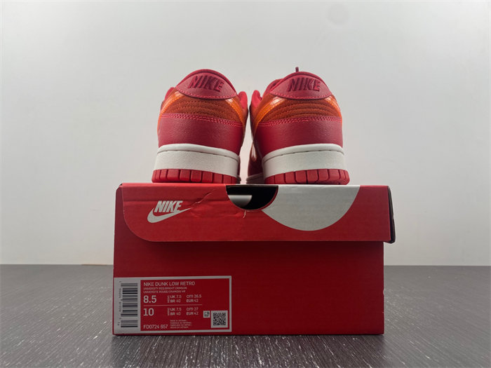 NK Dunk Low ATL FD0724-657