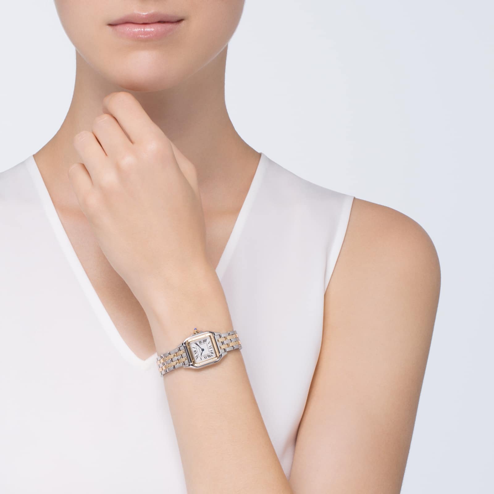 Cartier Panthère De Cartier Watch Small Model, Quartz Movement, Yellow Gold, Steel-P17310917