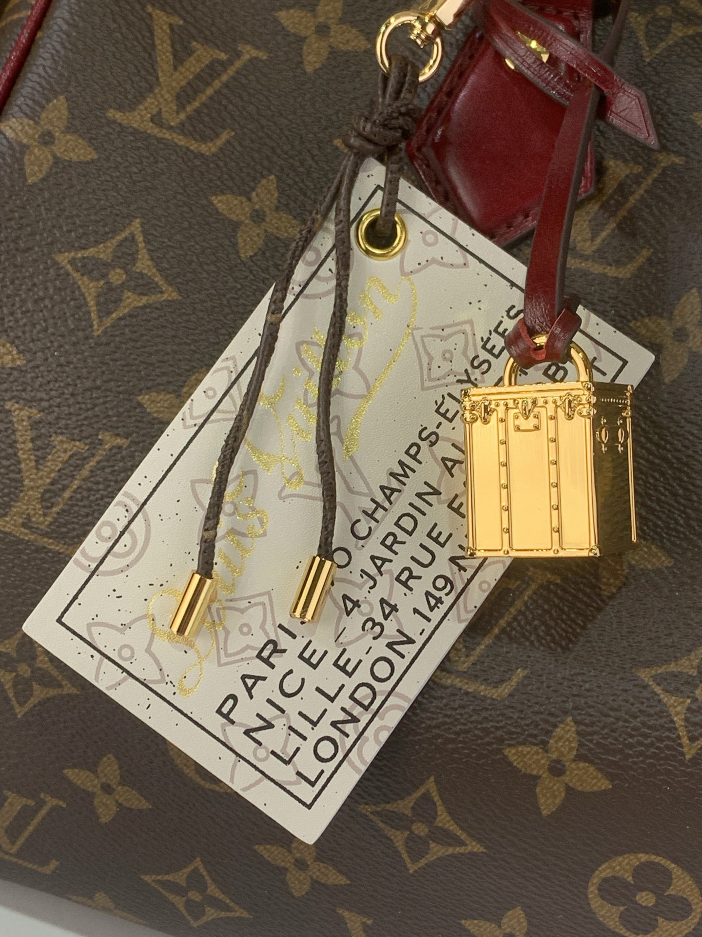 LOUIS VUITTON M28379 Speedy 30 Soft Celebration