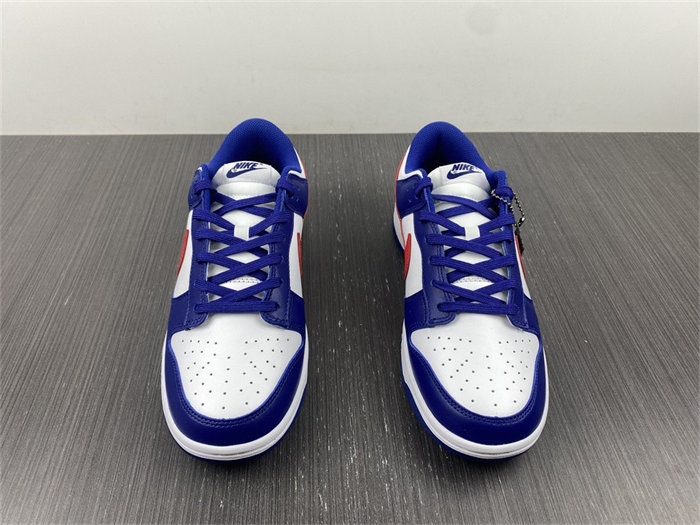 NK Dunk Low USA DD1503-119