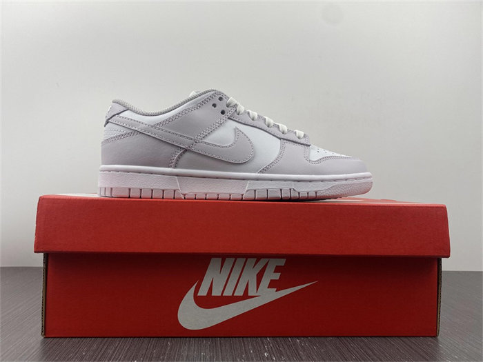 NK Dunk Low Venice DD1503-116