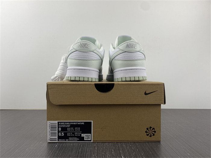 NK Dunk Low Next Nature White Mint DN1431-102