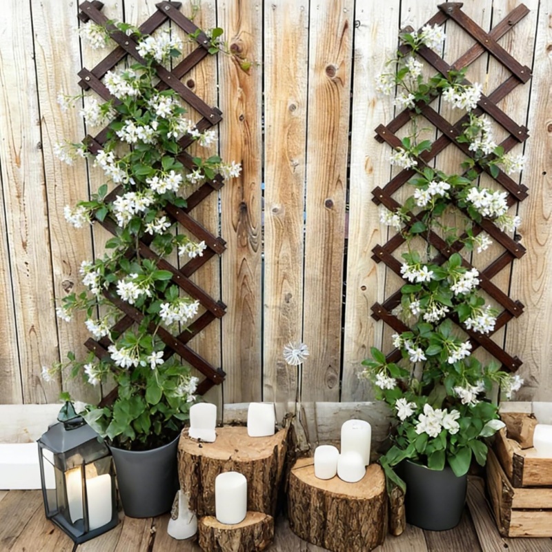 GREENFOLD Expandable Garden Trellis