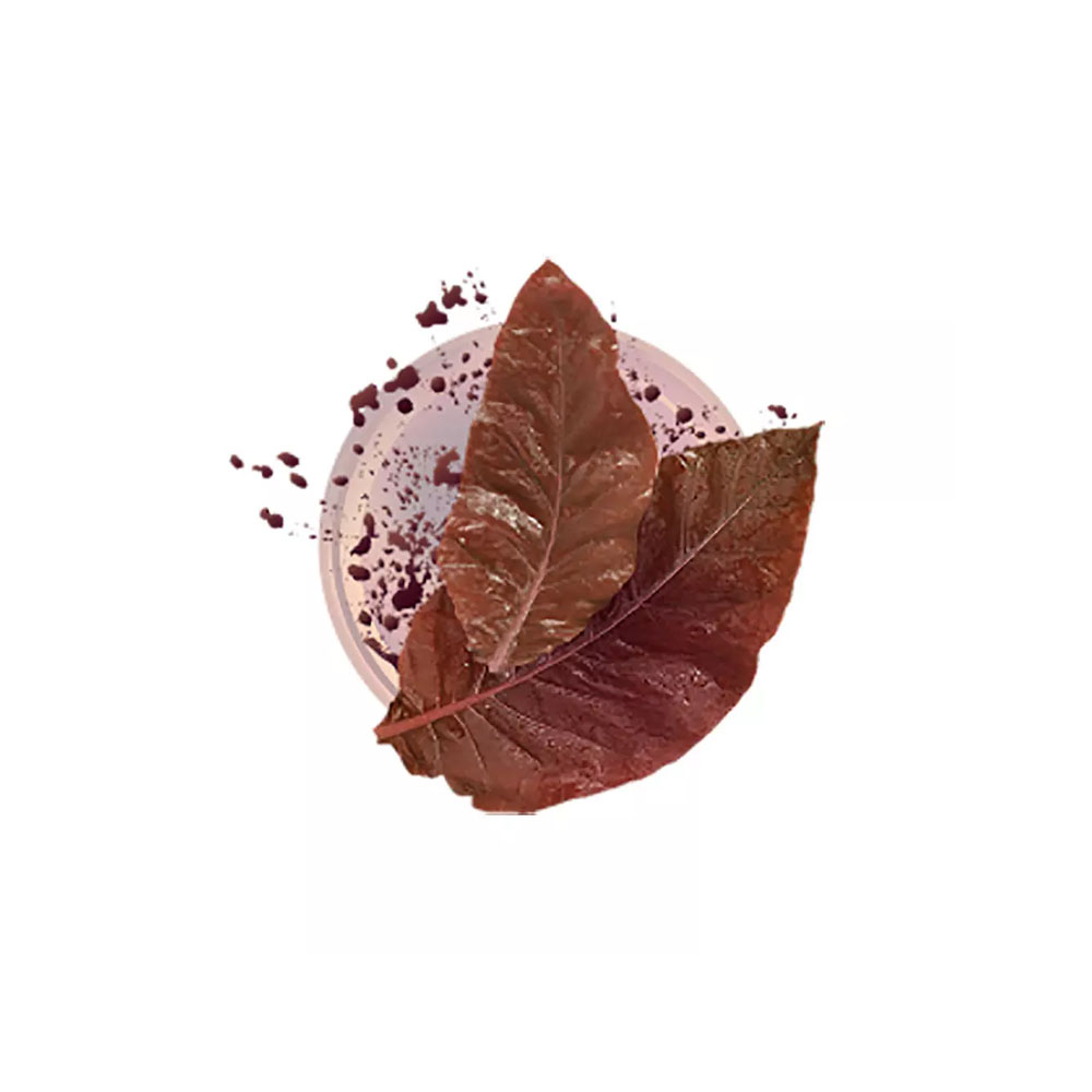 NEO Mild Tobacco (Terracotta)