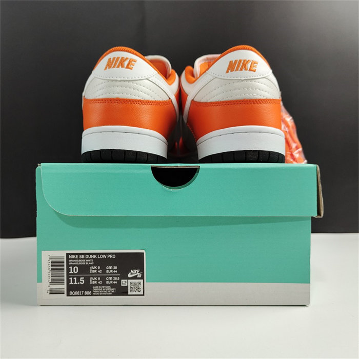 NK SB Dunk Low BQ6817-806