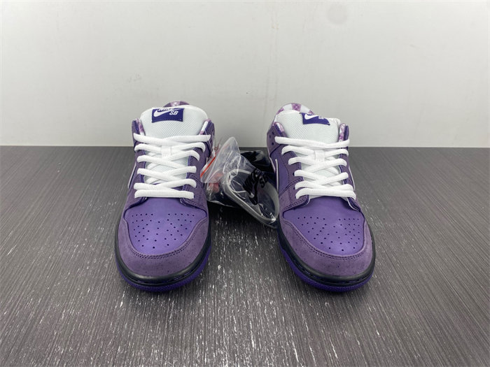 NK SB Dunk Low Concepts Purple Lobster BV1310-555