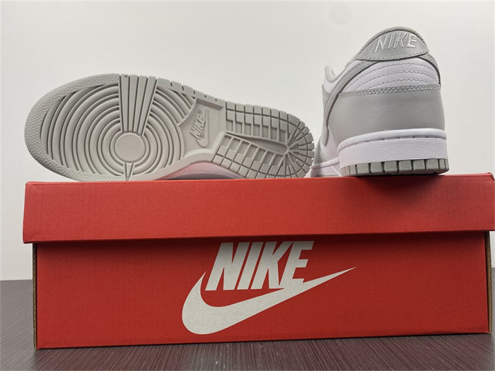NK Dunk Low Grey Fog DD1391-103